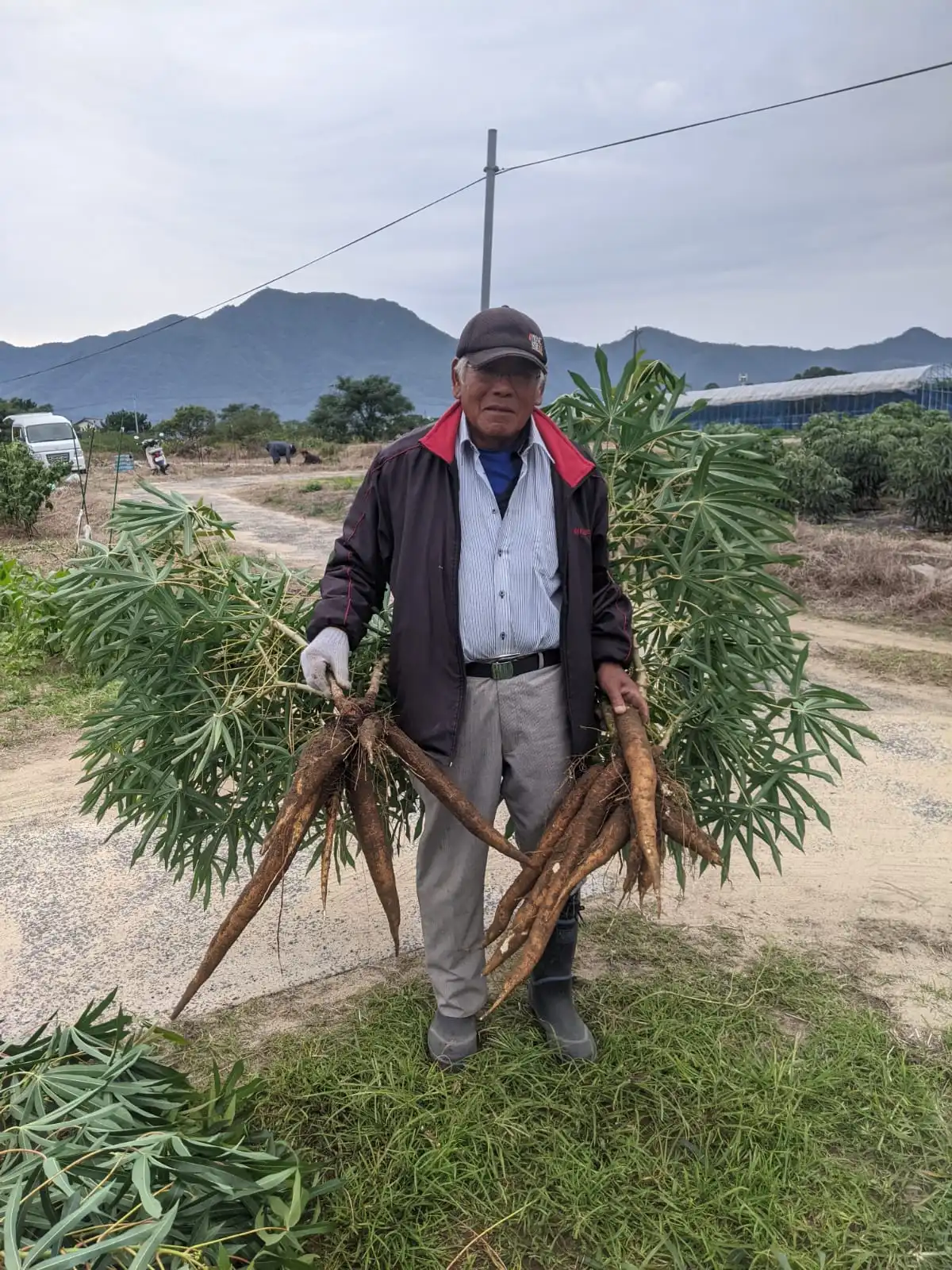 島根　ブラジル料理